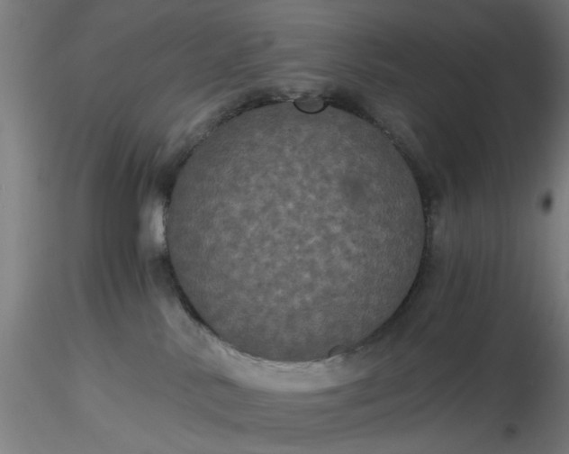 X0000116480042200912231140