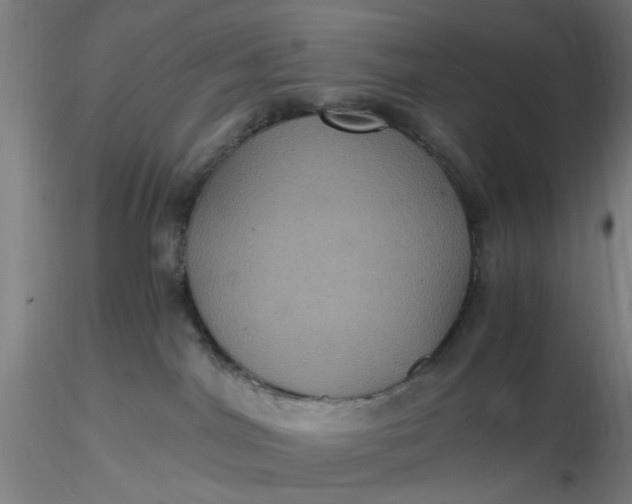 X0000116480044200912231140