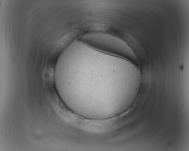 X0000116480045200912231139