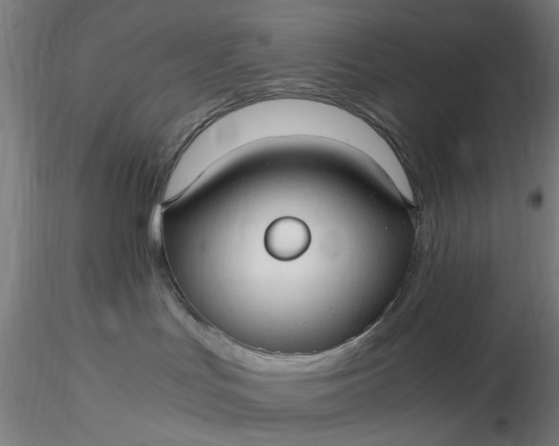 X0000116480047200912231139