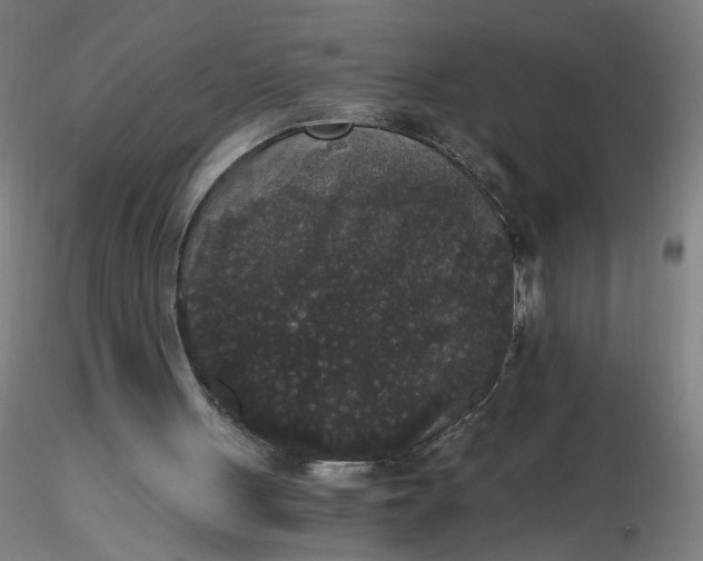 X0000116480051200912231139