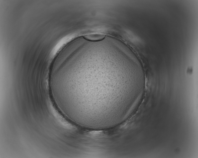 X0000116480054200912231139