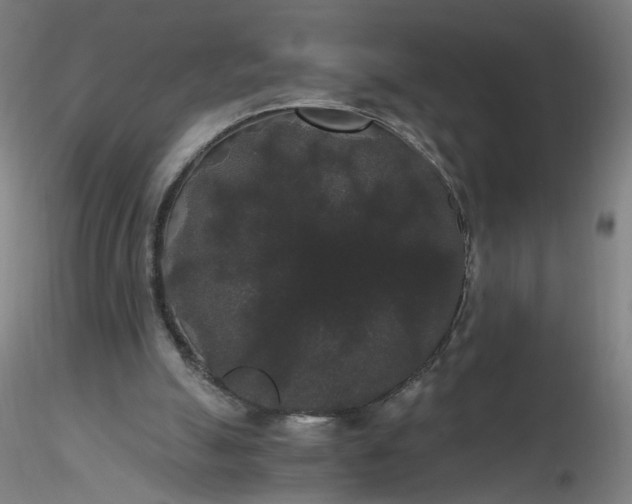 X0000116480055200912231139