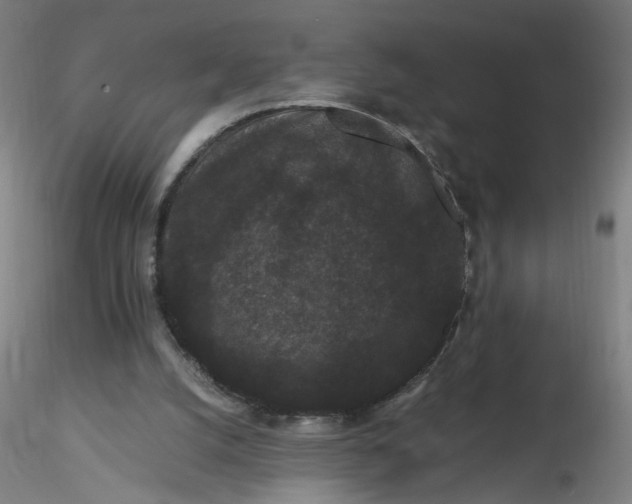 X0000116480056200912231139