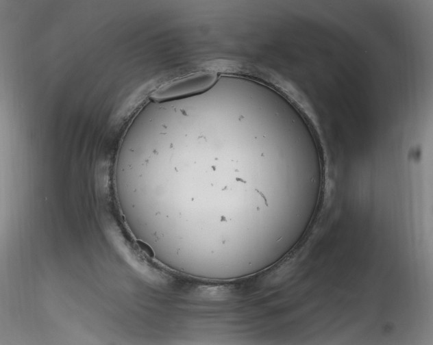 X0000116480057200912231139