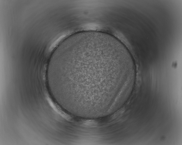 X0000116480058200912231139