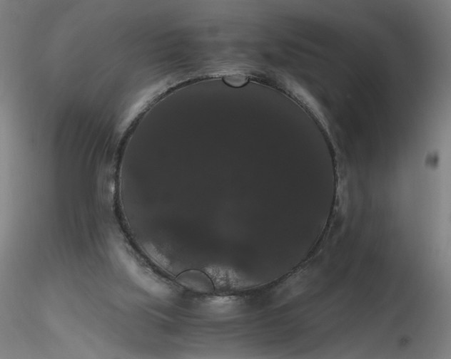 X0000116480059200912231139