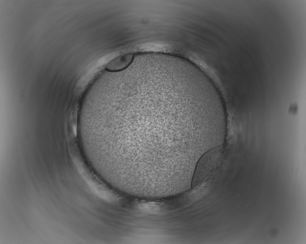 X0000116480062200912231139