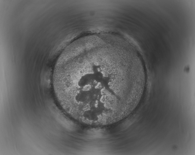 X0000116480065200912231139