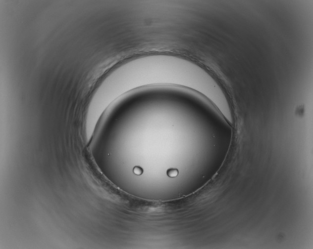 X0000116480068200912231139