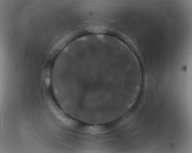 X0000116480069200912231139