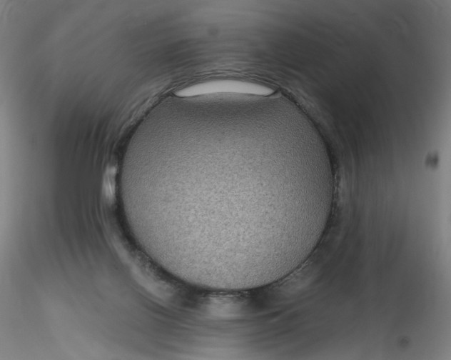 X0000116480070200912231139