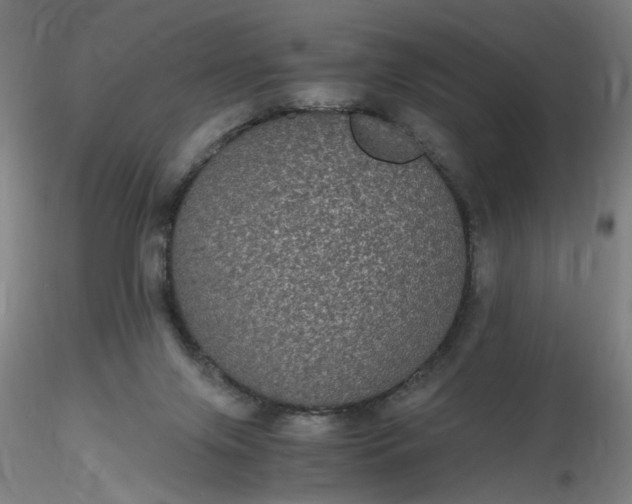 X0000116480071200912231139