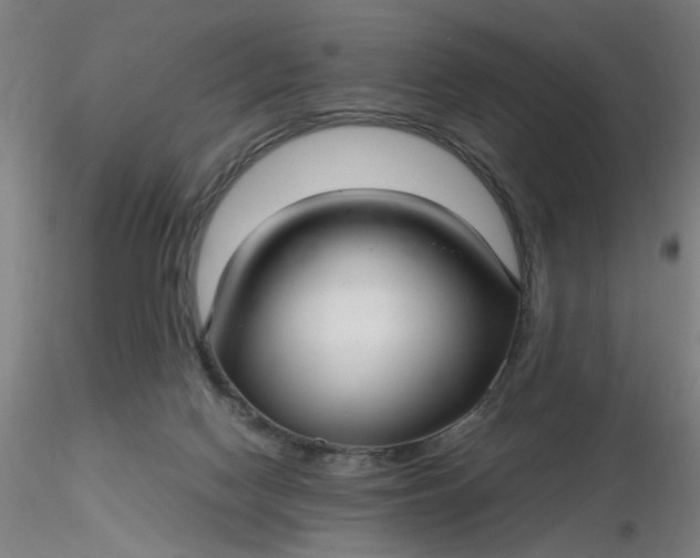 X0000116480074200912231139