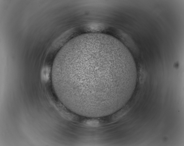 X0000116480075200912231139