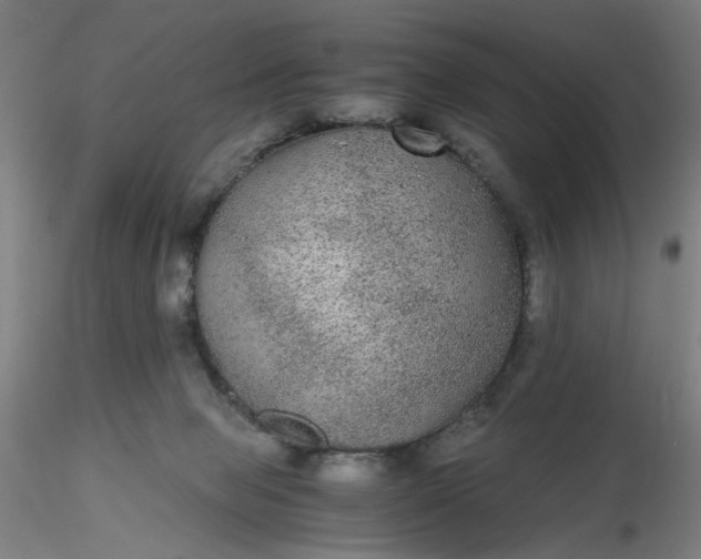 X0000116480077200912231139