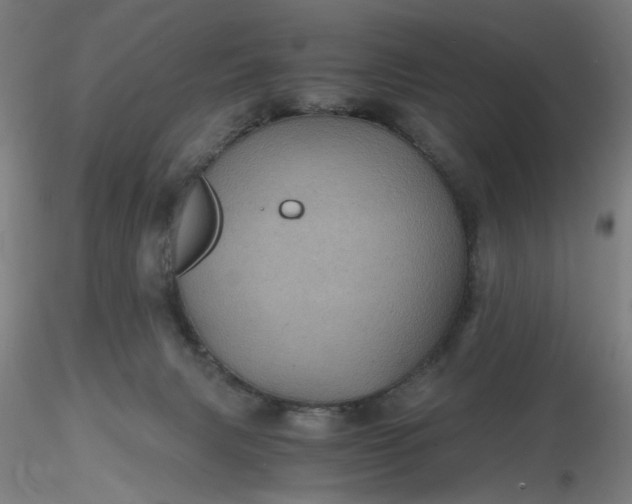 X0000116480079200912231139