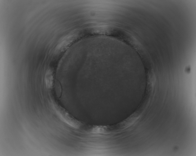 X0000116480080200912231139