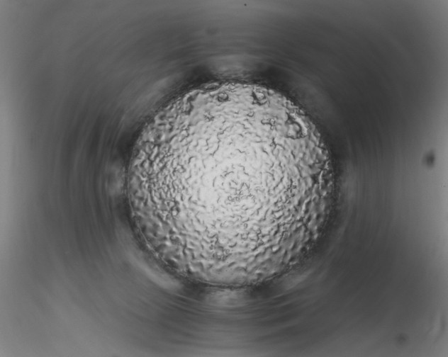 X0000116480081200912231139