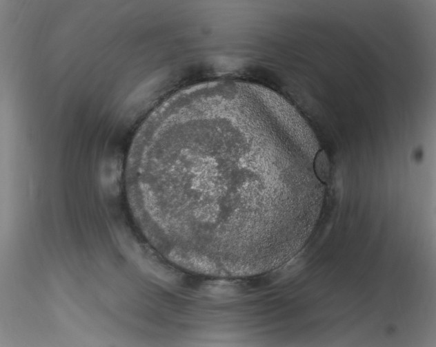 X0000116480082200912231139