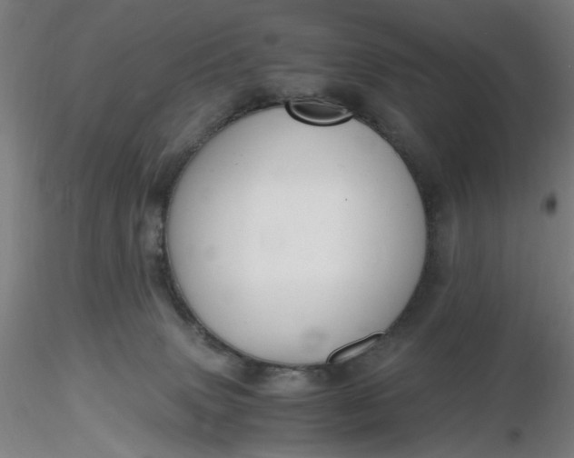 X0000116480083200912231139