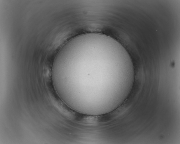 X0000116480084200912231139