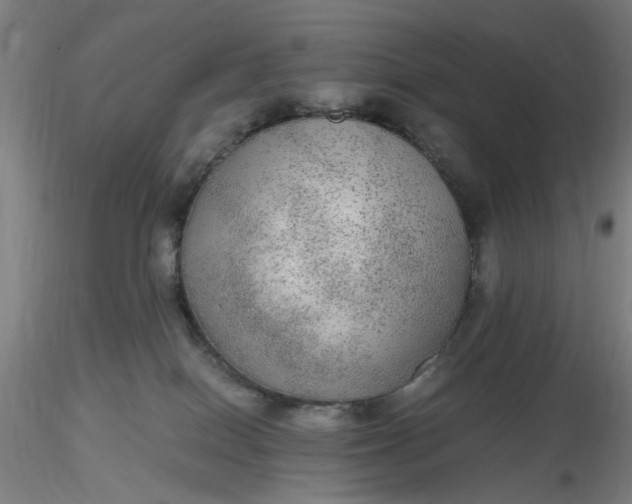 X0000116480086200912231139