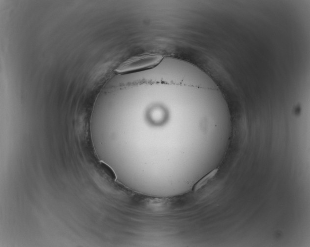 X0000116480088200912231139