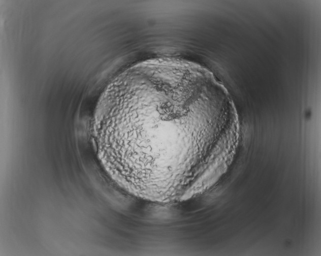 X0000116480093200912231139