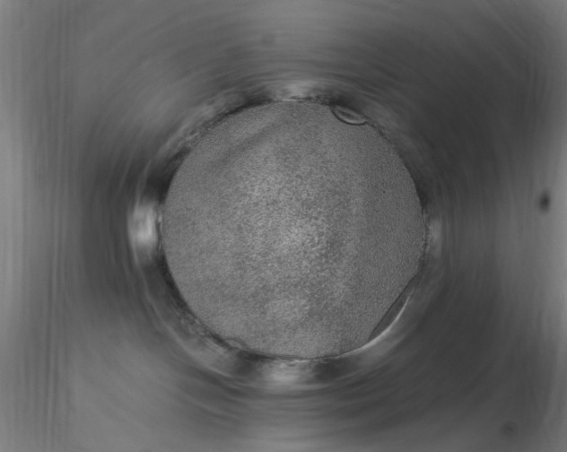 X0000116480094200912231139