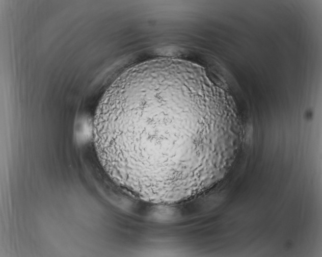 X0000116480095200912231139