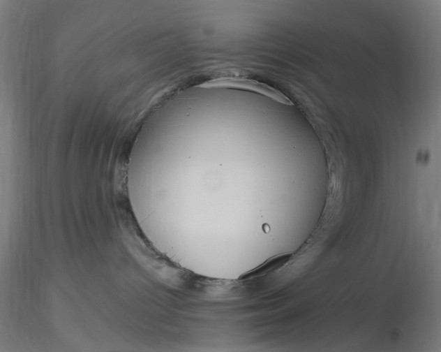 X0000116480096200912231139