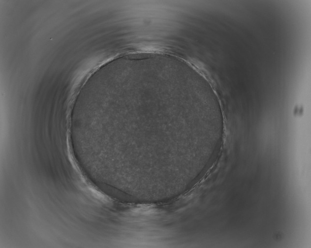 X0000116480097200912231139