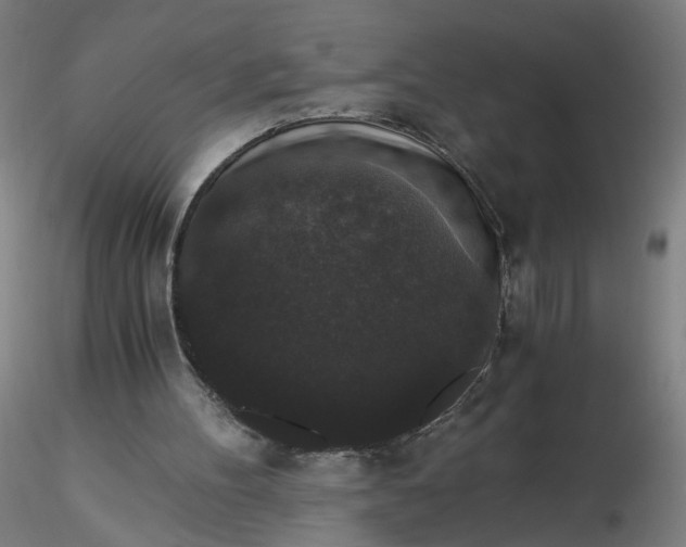 X0000116480100200912231139