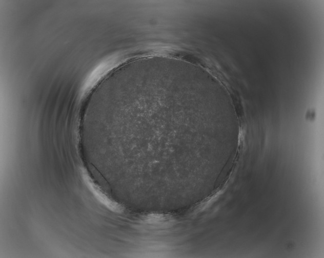 X0000116480101200912231139