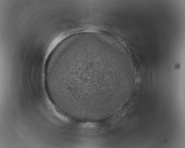 X0000116480102200912231139