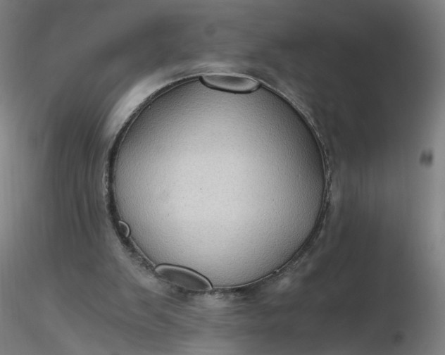 X0000116480103200912231139