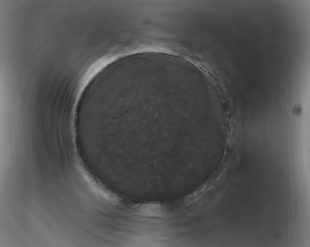 X0000116480104200912231139