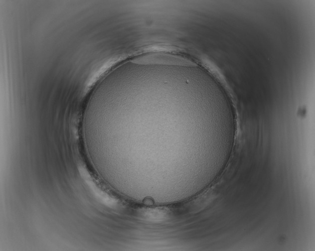 X0000116480106200912231139