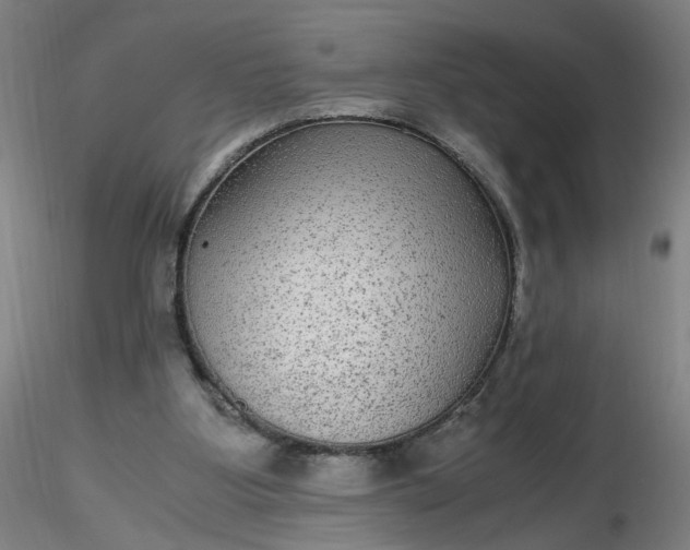 X0000116480107200912231139