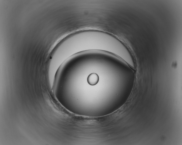 X0000116480108200912231139