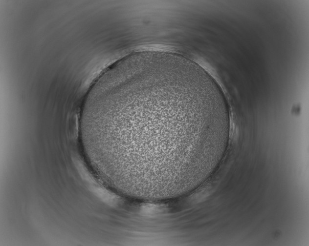 X0000116480109200912231139