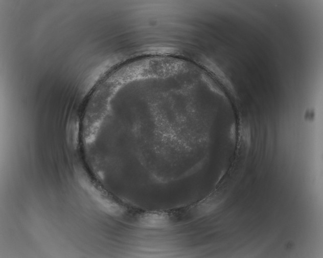 X0000116480110200912231139