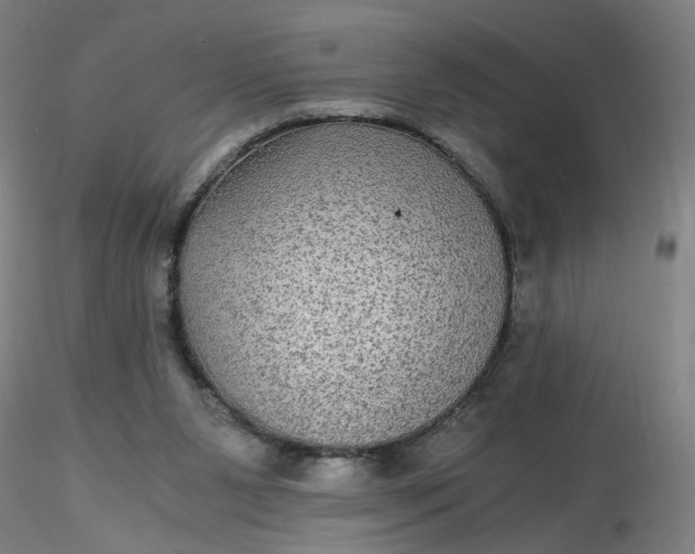 X0000116480111200912231139