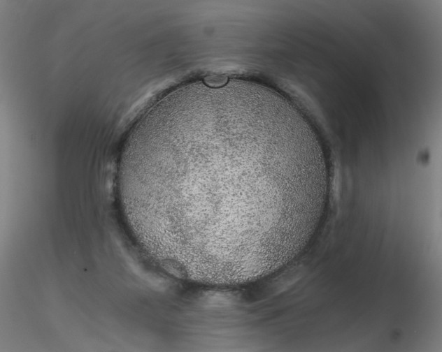 X0000116480115200912231139