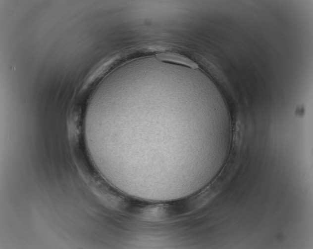 X0000116480116200912231139