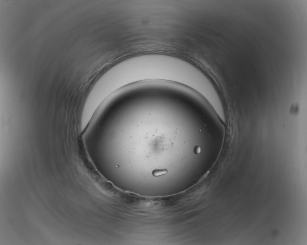 X0000116480117200912231139