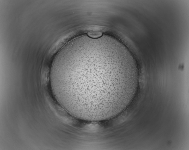 X0000116480119200912231138