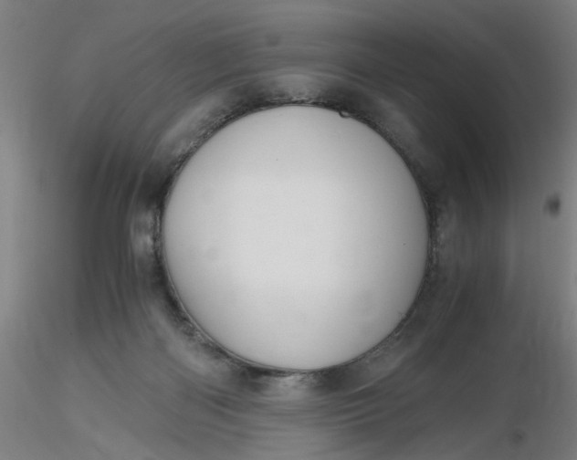 X0000116480122200912231138