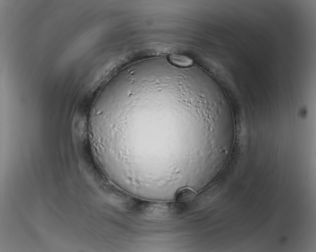 X0000116480123200912231138